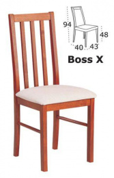 jídelní židle BOSS 10 