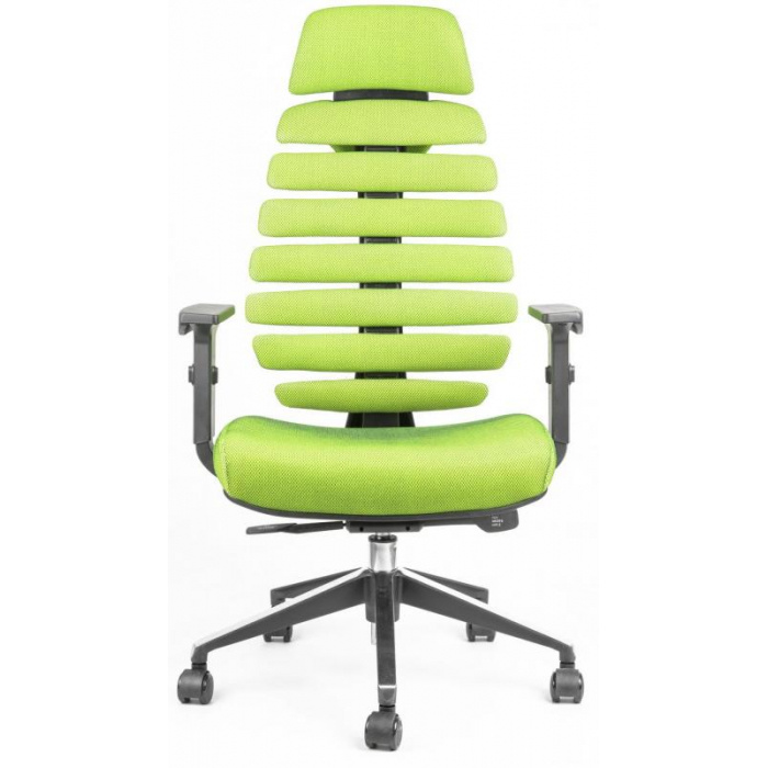 kancelářská židle FISH BONES PDH černý plast, zelená SH06