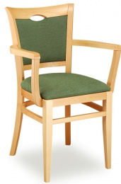jídelní židle SARA 323 812