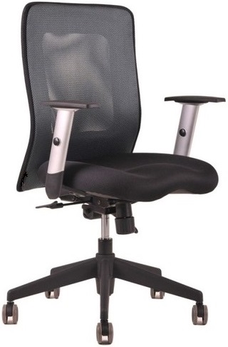 kancelářská židle LEXA bez podhlavníku, antracit gallery main image