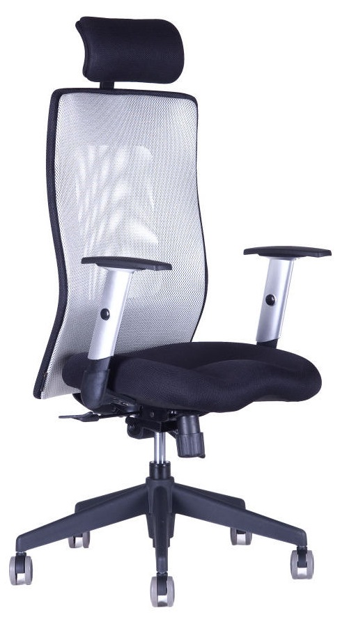 Kancelářská židle CALYPSO GRAND SP1 šedá - na prodejně v Praze gallery main image